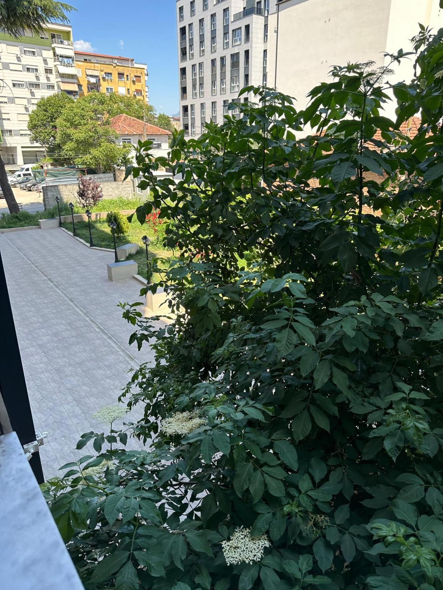 Moa 2br Apartmán *